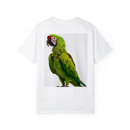 Green Military Macaw Parrot White Background