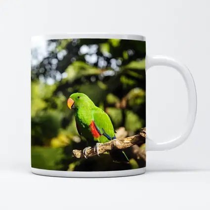 Green Eclectus Parrot Perched on Branch