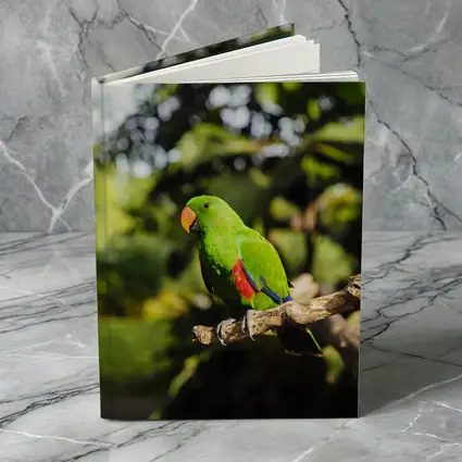 Green Eclectus Parrot Perched on Branch