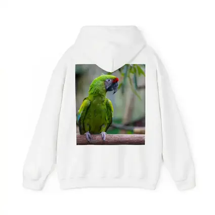 Green Macaw Parrot Perched On Branch