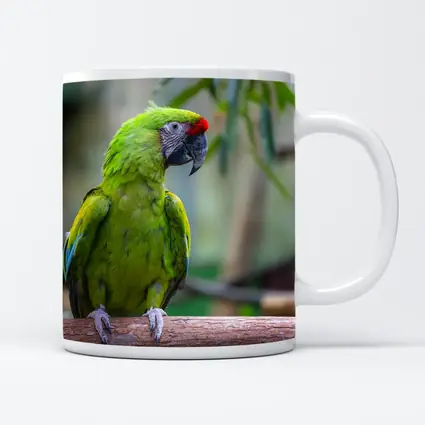 Green Macaw Parrot Perched On Branch