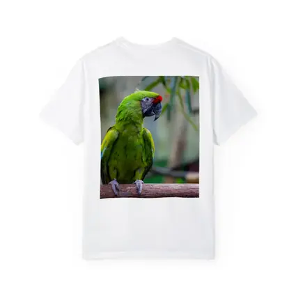 Green Macaw Parrot Perched On Branch