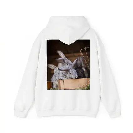 Gray Rabbits Resting in Wooden Hutch