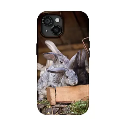 Gray Rabbits Resting in Wooden Hutch