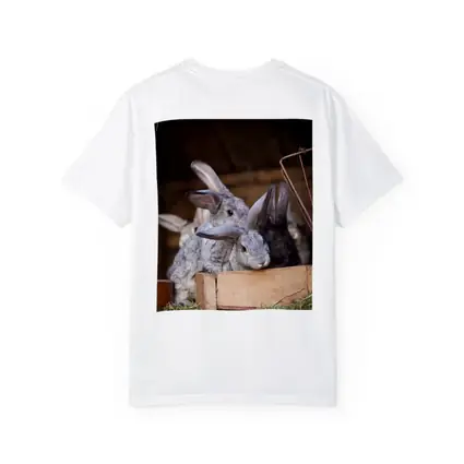 Gray Rabbits Resting in Wooden Hutch