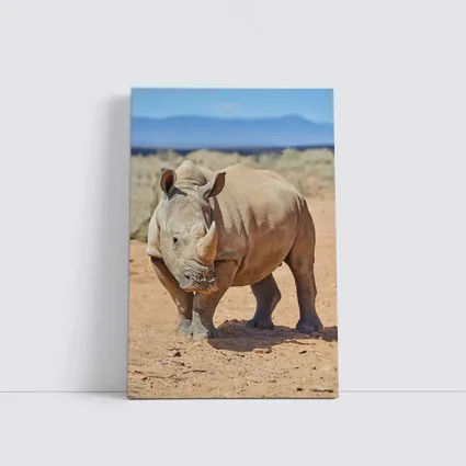 White Rhino Standing on African Desert Plains
