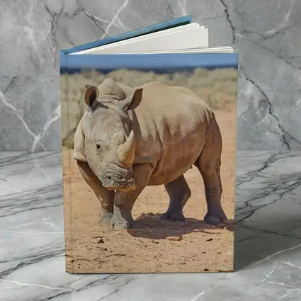 White Rhino Standing on African Desert Plains