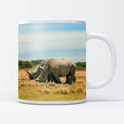 White Rhino Pair Grazing African Savanna