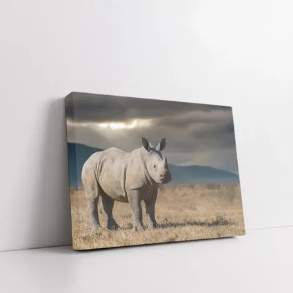 Young White Rhino Standing On African Savanna