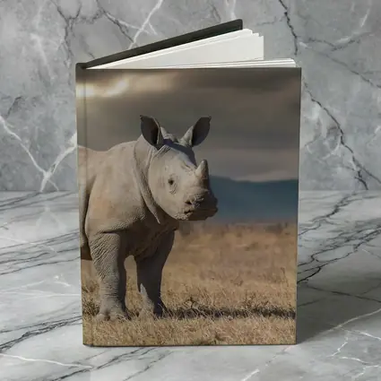 Young White Rhino Standing On African Savanna