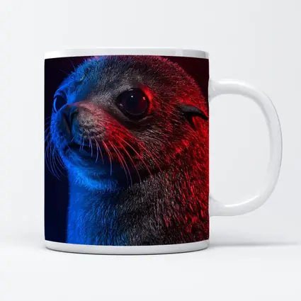 Seal Pup Portrait Blue Red Neon Light