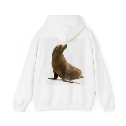 Sea Lion Sitting On White Background