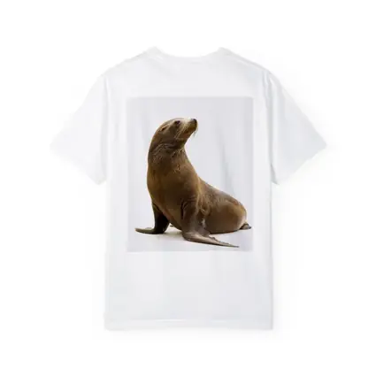 Sea Lion Sitting On White Background