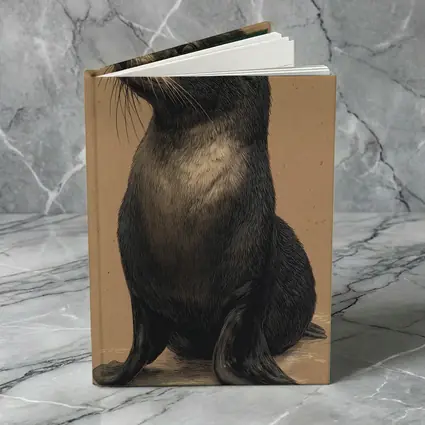 Young Fur Seal Sketch on Beige Background
