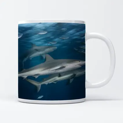 Sharks Swimming Together in Deep Blue Ocean
