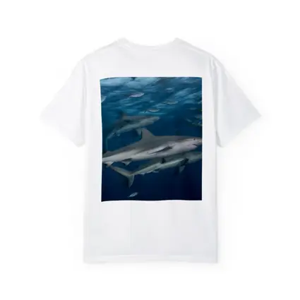 Sharks Swimming Together in Deep Blue Ocean