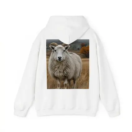 Horned Sheep Standing In Autumn Meadow