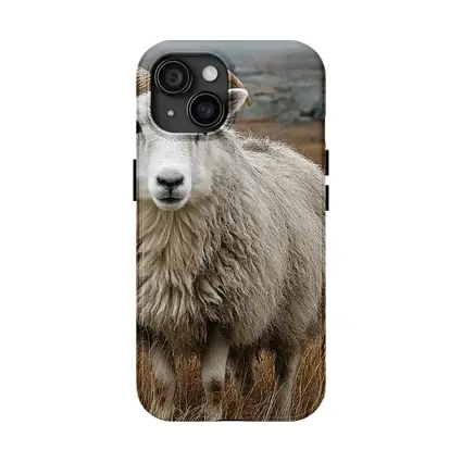Horned Sheep Standing In Autumn Meadow