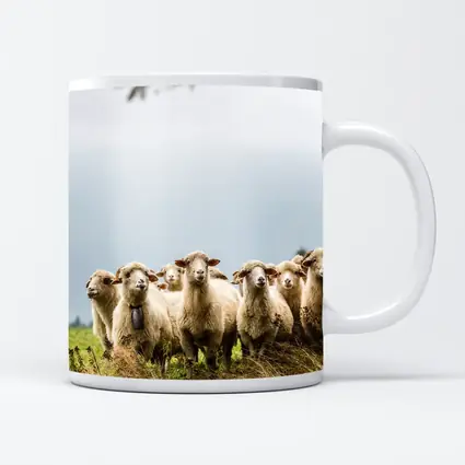 Flock of Sheep Standing in Green Field