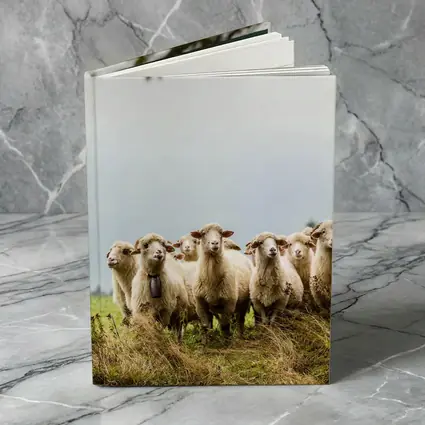 Flock of Sheep Standing in Green Field