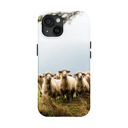 Flock of Sheep Standing in Green Field