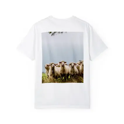 Flock of Sheep Standing in Green Field