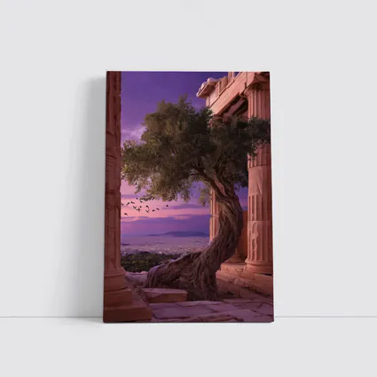 Ancient Greek Temple Olive Tree Purple Sky