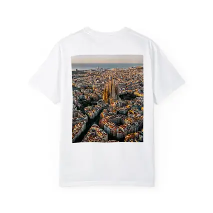 Barcelona Aerial View Sagrada Familia Cityscape