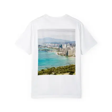 Waikiki Beach Honolulu Skyline Aerial View