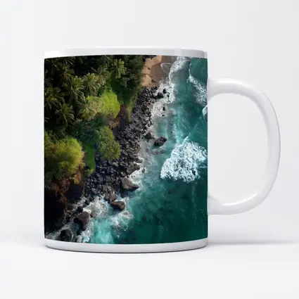 Aerial Tropical Coastline Rocky Shore Ocean