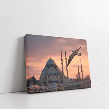 Seagull Flying Over Istanbul Mosque Sunset