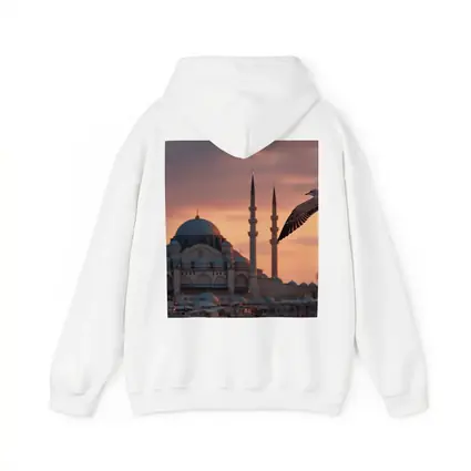 Seagull Flying Over Istanbul Mosque Sunset