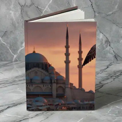 Seagull Flying Over Istanbul Mosque Sunset