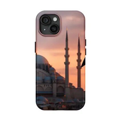 Seagull Flying Over Istanbul Mosque Sunset