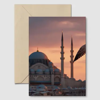 Seagull Flying Over Istanbul Mosque Sunset