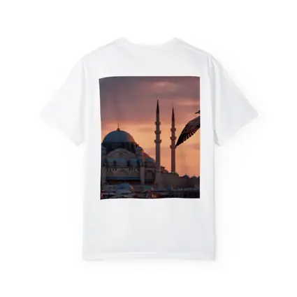 Seagull Flying Over Istanbul Mosque Sunset