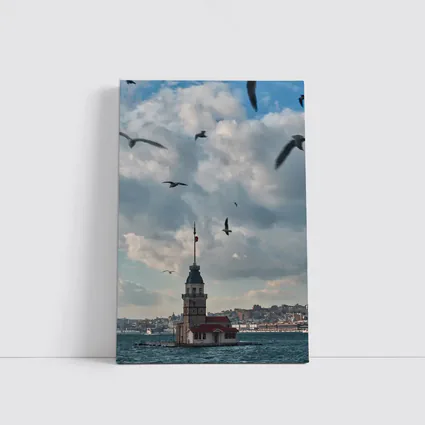 Maiden Tower Istanbul Bosphorus Seagulls Sky