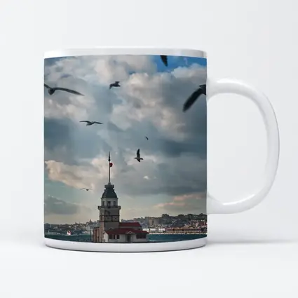 Maiden Tower Istanbul Bosphorus Seagulls Sky