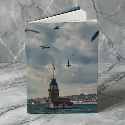 Maiden Tower Istanbul Bosphorus Seagulls Sky