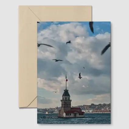 Maiden Tower Istanbul Bosphorus Seagulls Sky