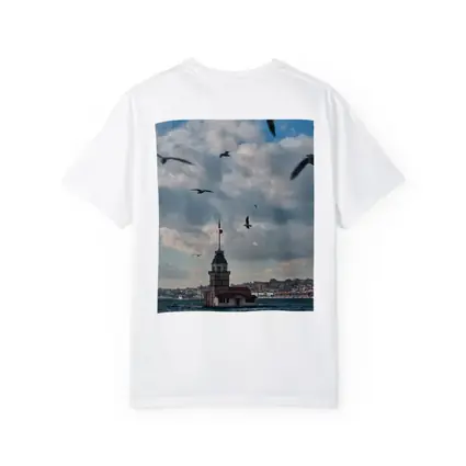 Maiden Tower Istanbul Bosphorus Seagulls Sky