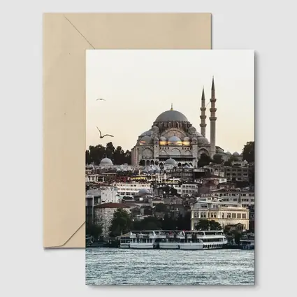 Suleymaniye Mosque Istanbul Bosphorus Waterfront View