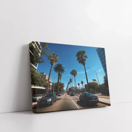 Los Angeles Palm Tree Boulevard Blue Sky