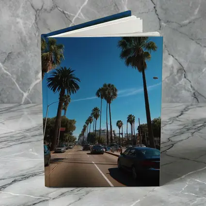 Los Angeles Palm Tree Boulevard Blue Sky
