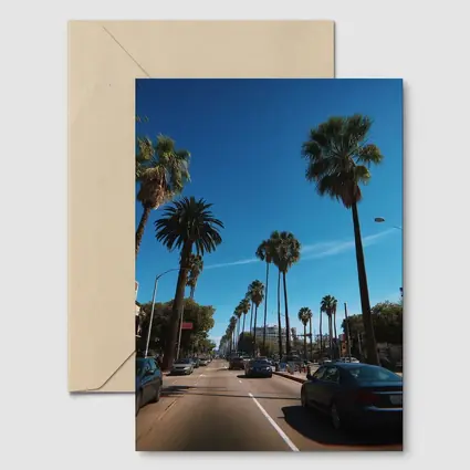 Los Angeles Palm Tree Boulevard Blue Sky
