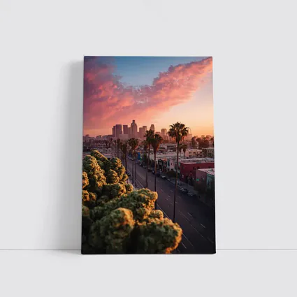 Los Angeles Downtown Skyline Sunset Palm Trees