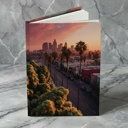 Los Angeles Downtown Skyline Sunset Palm Trees