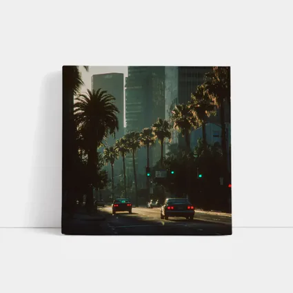 Los Angeles Downtown Palm Trees Street Scene