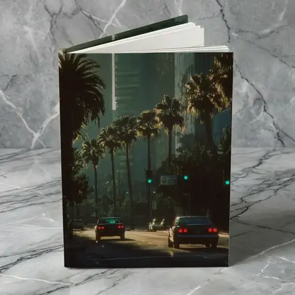 Los Angeles Downtown Palm Trees Street Scene