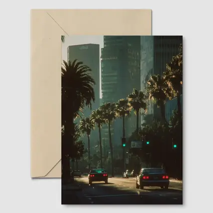 Los Angeles Downtown Palm Trees Street Scene